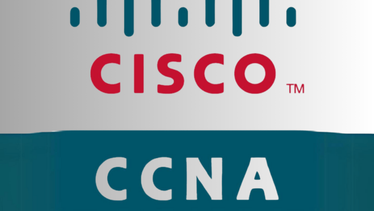 Network Associate Coaching Program